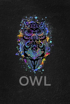 OWL — Desert Cubs Cricket Academy sponsor UAE
